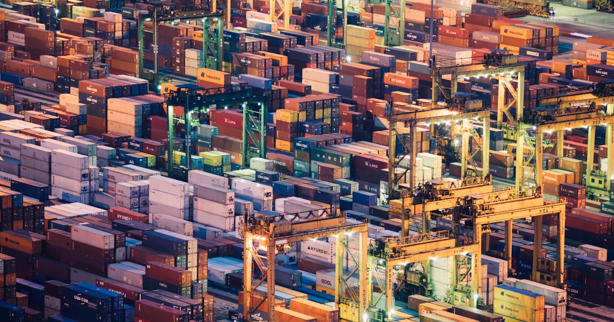 What Is an NVOCC and Why Should You Care?